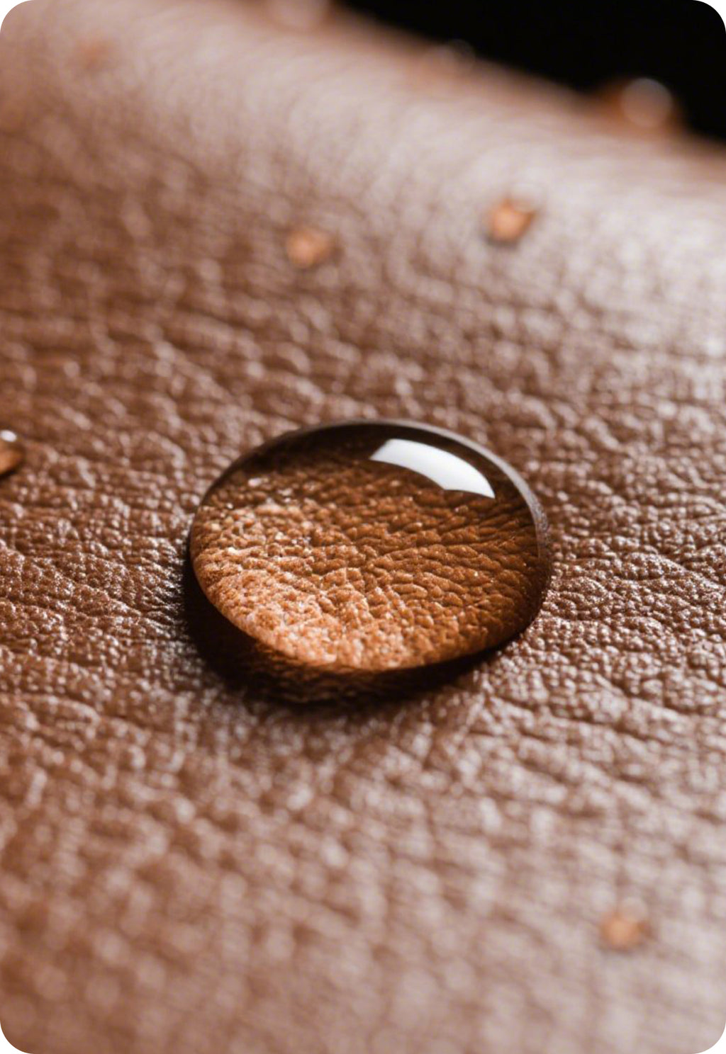 Leather Wear-Resistant