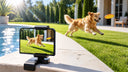 iPhone Duo on a stand beside a pool with the outer screen playing a video of a dog