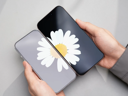 Close-up of hands holding two silver iPhones, with the screens displaying a shared, large white daisy flower