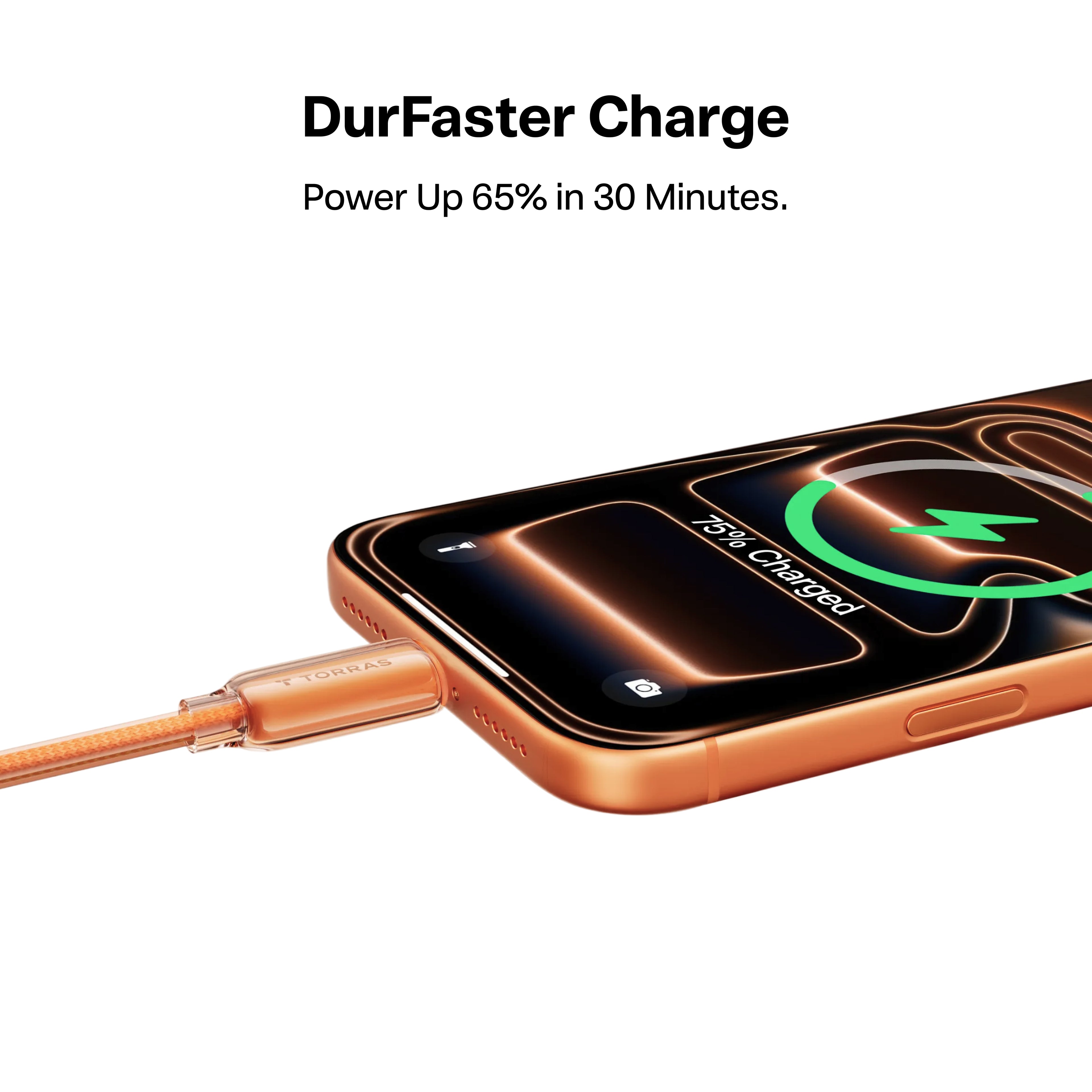 05_69e03124 bc31 4901 847c e4423c6d4930