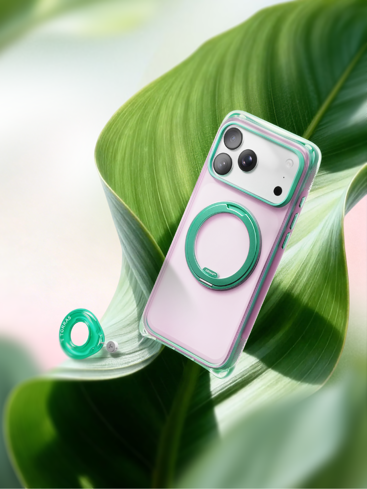 TORRAS