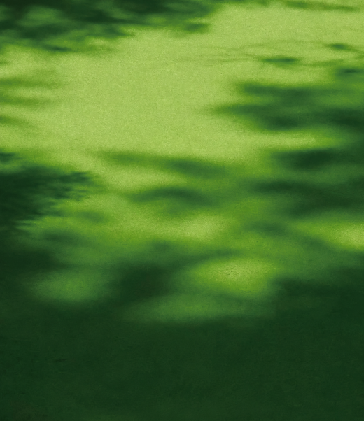 Spür die Natur in voller Farbe.